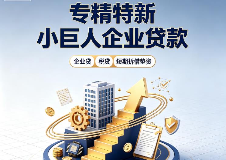 广州荔湾区2企业发票贷|广州荔湾区2法人企业贷款|广州荔湾区2大额企业经营贷款